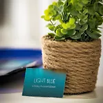 Light Blue